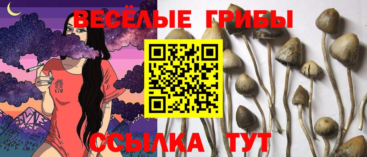 Галлюциногенные грибы MAGIC MUSHROOMS Шелехов