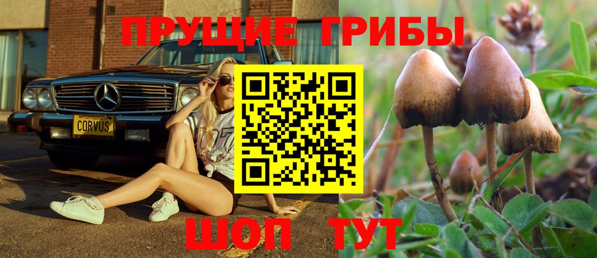 Шелехов  Галлюциногенные грибы прущие грибы  Вход с VPN  Галлюциногенные грибы ЛСД 