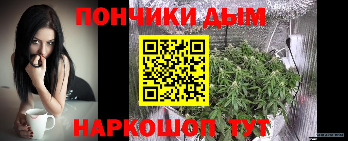 Бошки марихуана Bruce Banner Шелехов